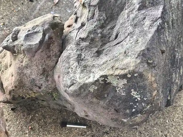 A close-up photo shows two large, weathered rocks on a gravelly surface, with one rock having a distinct, humorous face-like…
