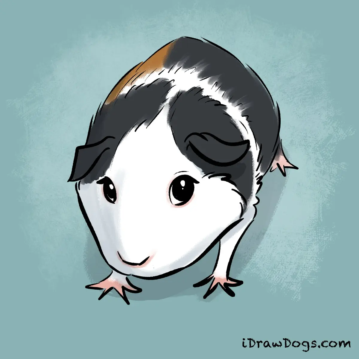 A cartoon guinea pig with a human-like face, black and brown hair styled like a short haircut, and a subtle smile, set…