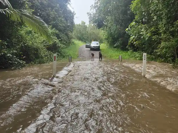 A flooded dirt road surrounded by dense green foliage, with two children standing in the rushing brown water near white…