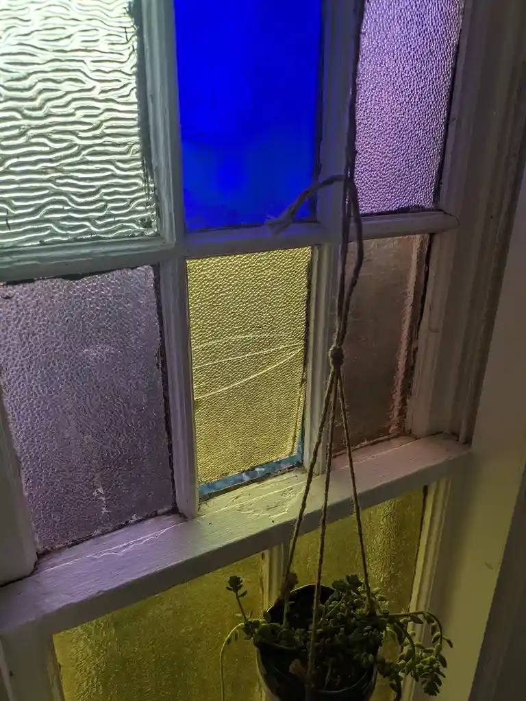 A small succulent plant in a hanging pot is positioned in front of a multi-paned window with textured glass panels in…