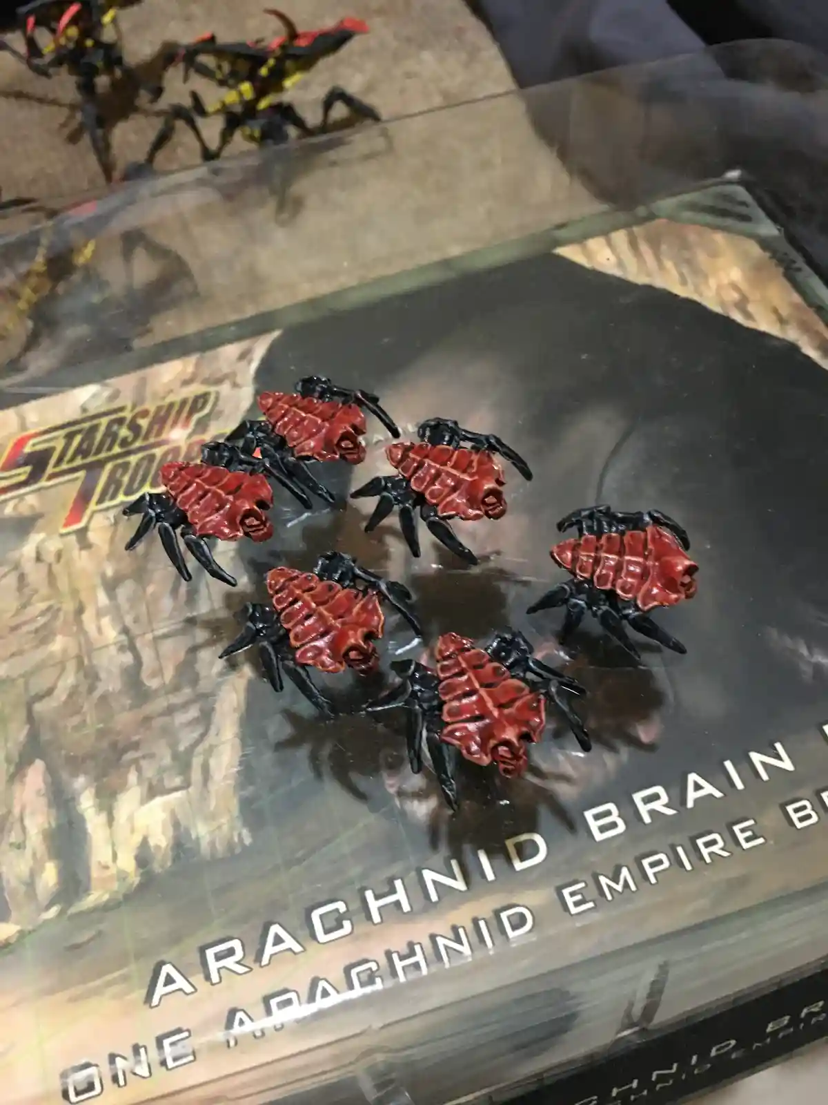 Five small, black-and-red insect-like miniatures with segmented red backs are arranged on a transparent plastic box labeled…