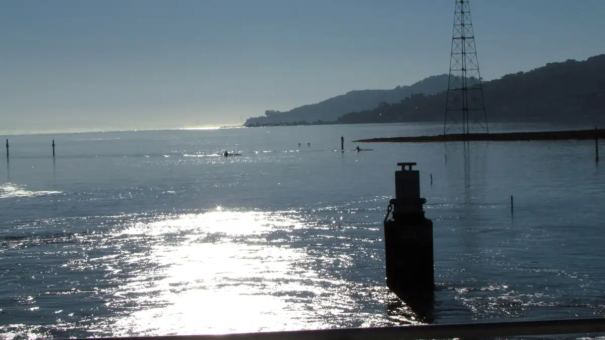 A serene waterfront scene with calm water reflecting sunlight, distant hills, and a power line tower. In the foreground, a…