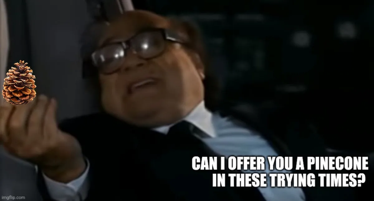 A blurry image of a man in a suit and glasses, seemingly offering a pinecone with his hand. The overlaid text reads 'CAN I…