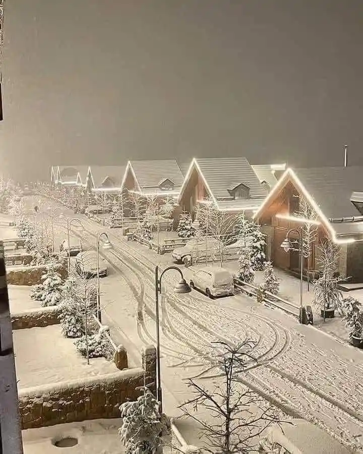 A snowy, nighttime street scene with snow-covered houses, trees, and parked cars, featuring glowing white lights outlining…