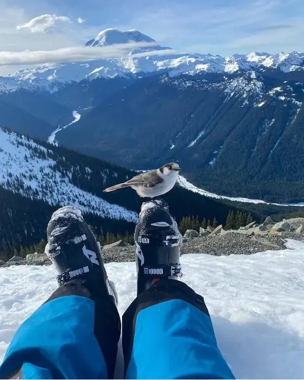 A person wearing blue snow pants and black ski boots sits in the snow with their legs outstretched, overlooking a vast…