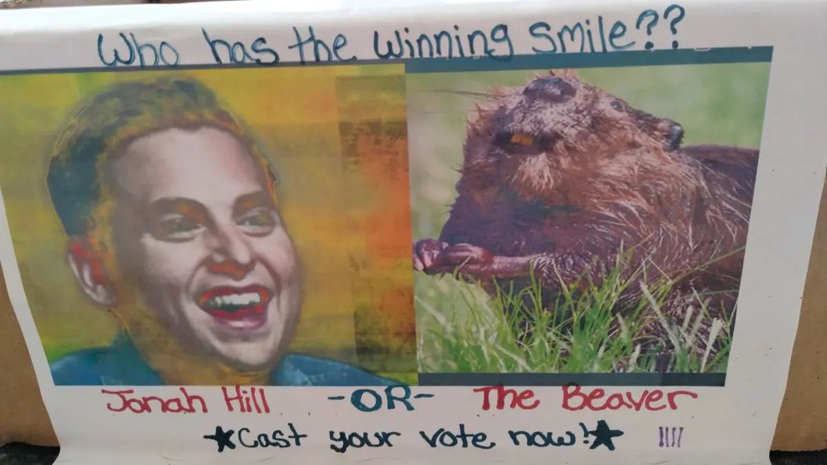 Let the Voting Begin!