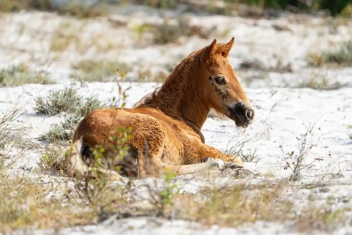 Adorable Baby Alert!