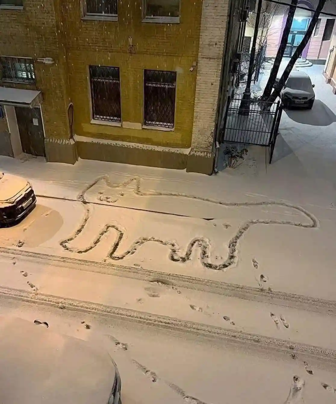 A snowy street at night shows a large, winding trail of footprints in the snow that clearly forms the shape of a dog, with…