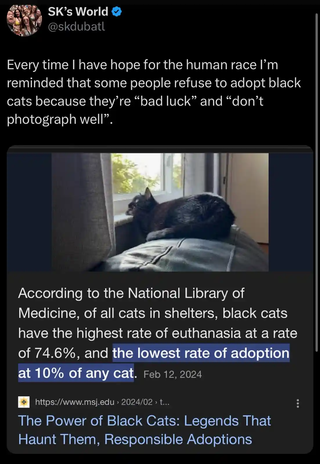 A black cat is seen lounging on a couch near a window, with overlaid text from a tweet expressing frustration about humans…