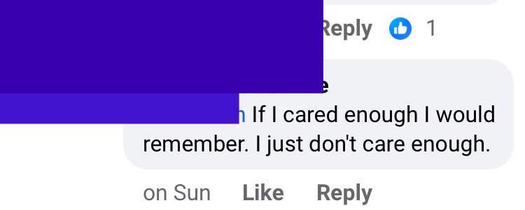 A screenshot of a social media comment thread where a comment bubble displays the text 'If I cared enough I would remember…