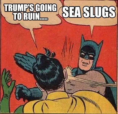 Batman is shown punching a man in a yellow shirt from behind, with two speech bubbles. The left bubble says 'TRUMP'S GOING…
