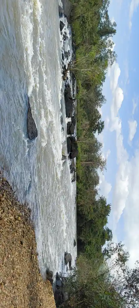 A wide-angle photo of a fast-flowing, turbulent river with white water rushing over dark rocks, bordered by a pebbly shore…