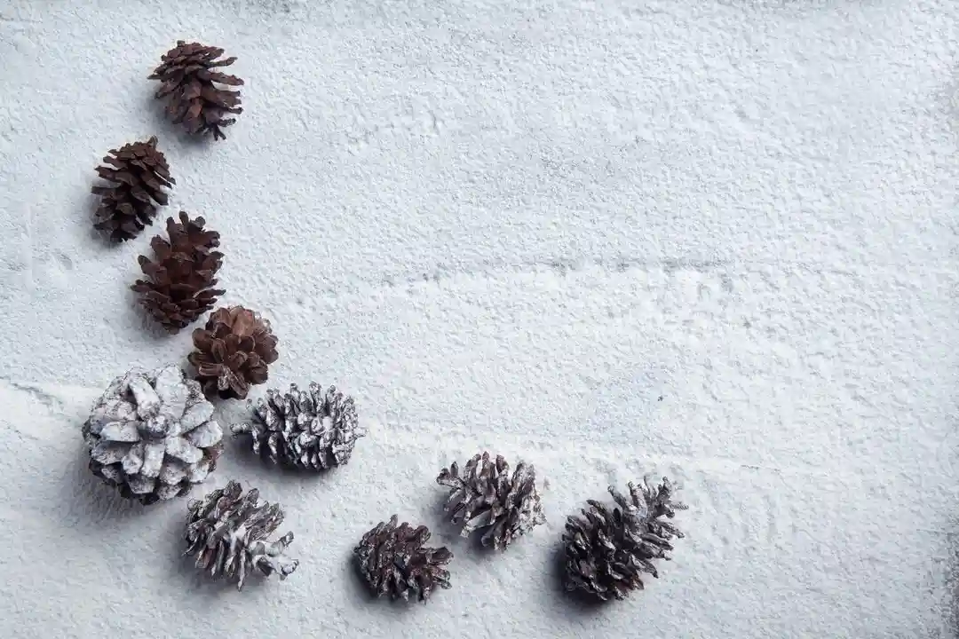 Team Pinecone for the win!