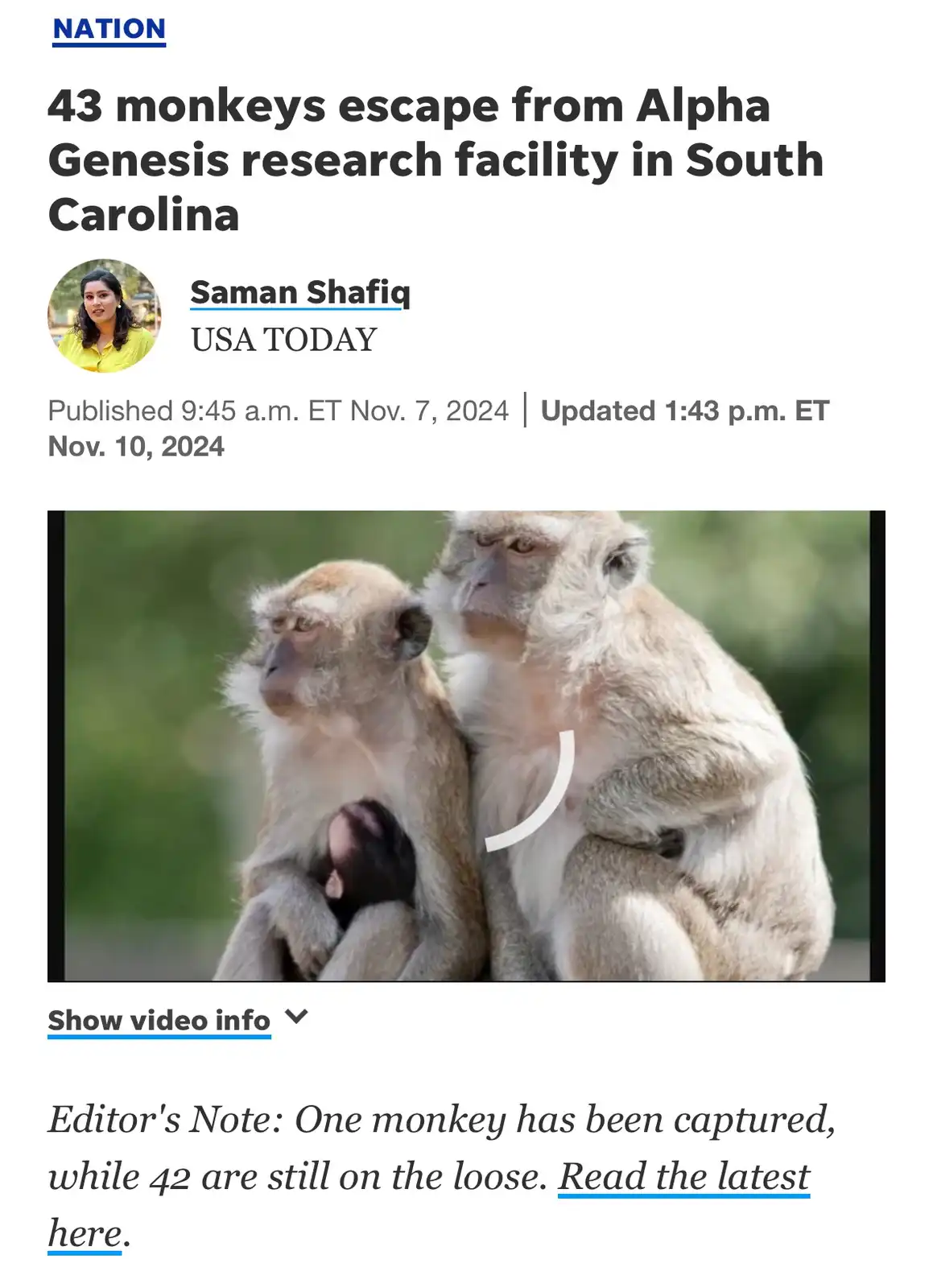 A screenshot of a USA TODAY news article about 43 monkeys escaping a research facility, featuring a photo of two monkeys…