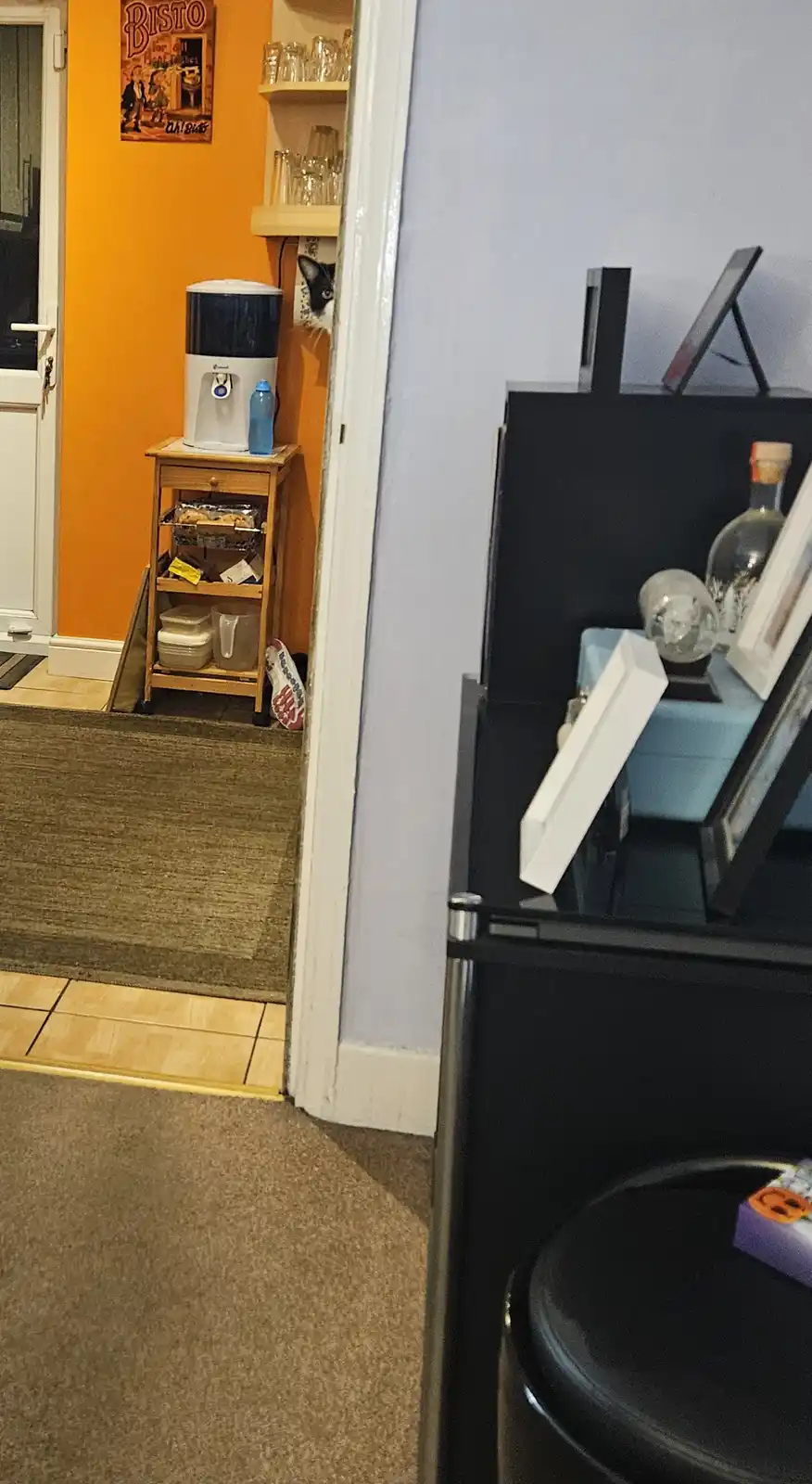 A black-and-white cat peeks out from behind a white doorframe in a home, with an orange wall, a water cooler, and shelves…