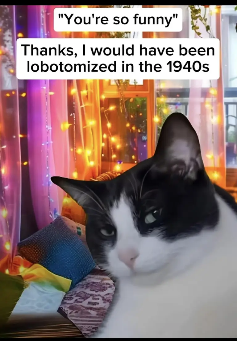 A close-up of a black-and-white cat with a bored or unimpressed expression, set against a background of colorful string…