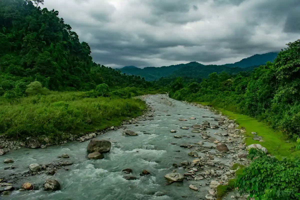 A scenic photo of a fast-flowing river with rocks and lush green vegetation on both banks under a cloudy sky. The overlaid…