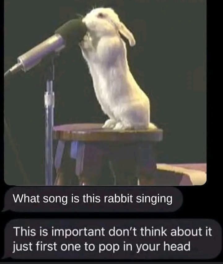 A Question of Utmost Importance Awaits Your Answer