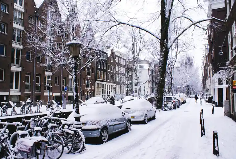 Winter Wonderland: Exploring Amsterdam's Chilly Charm