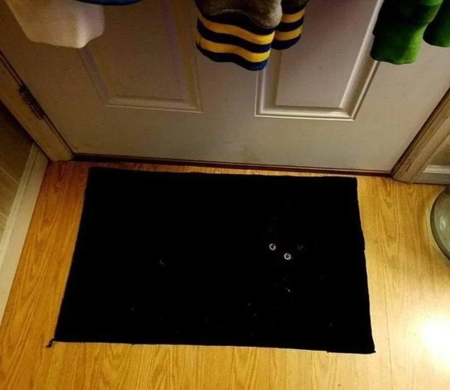 A black doormat lies on a wooden floor in front of a white door, with several small dark spots scattered across its surface…