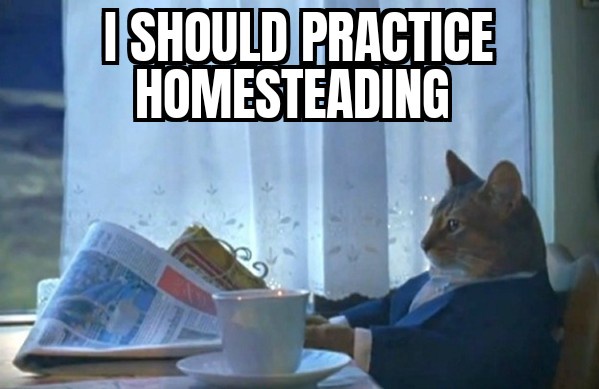 A cat wearing a dark suit and white shirt sits at a table by a window, looking off to the side with a serious expression. On…