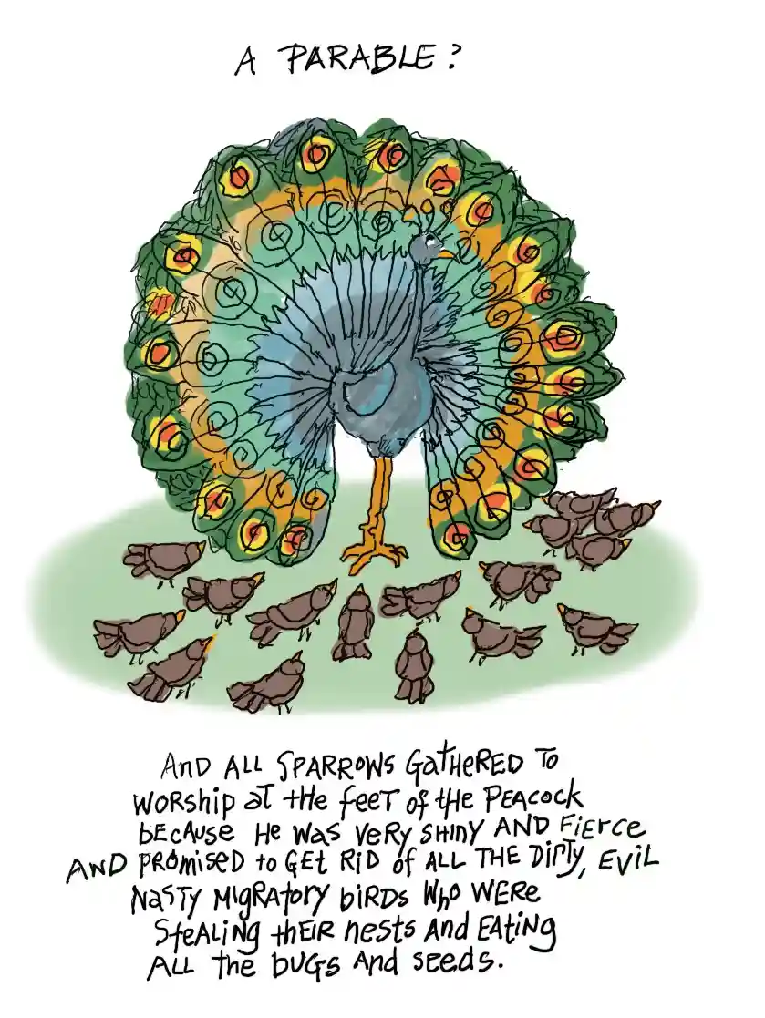 A hand-drawn illustration shows a large, colorful peacock with its tail fanned out, surrounded by a flock of small, brown…