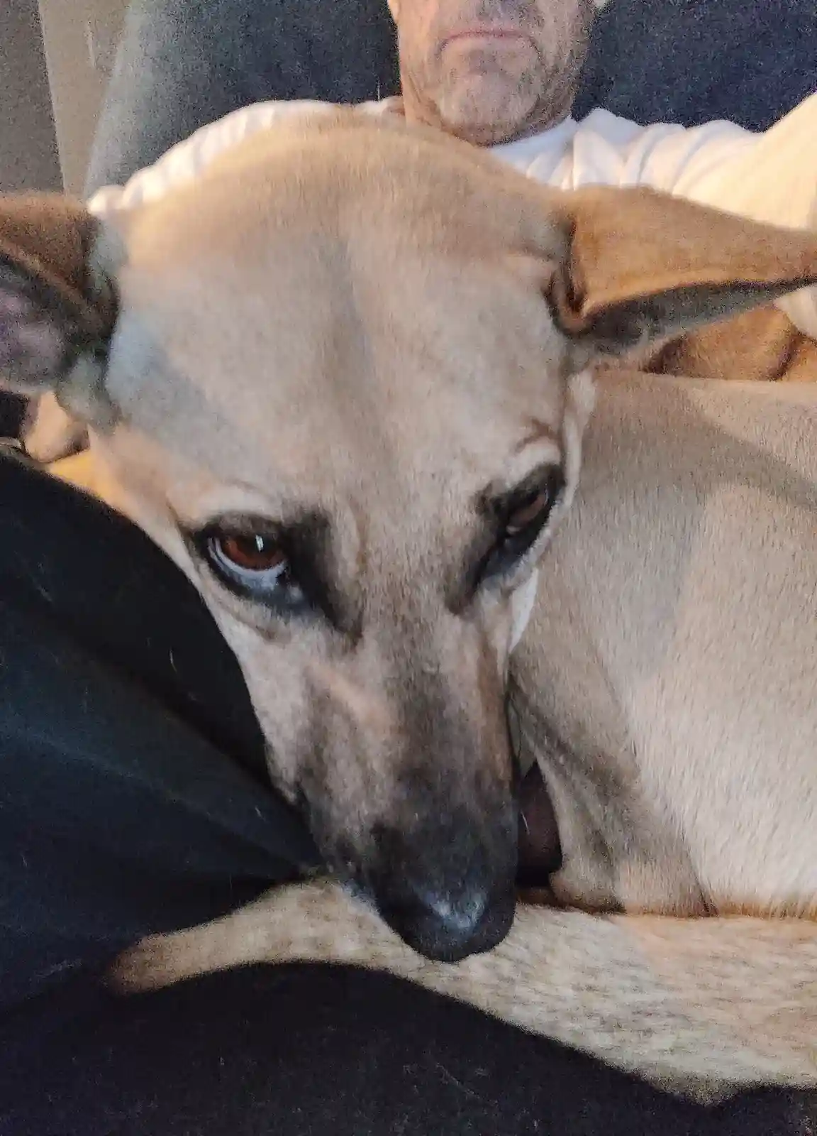 Maggie Looking Absolutely Adorable
