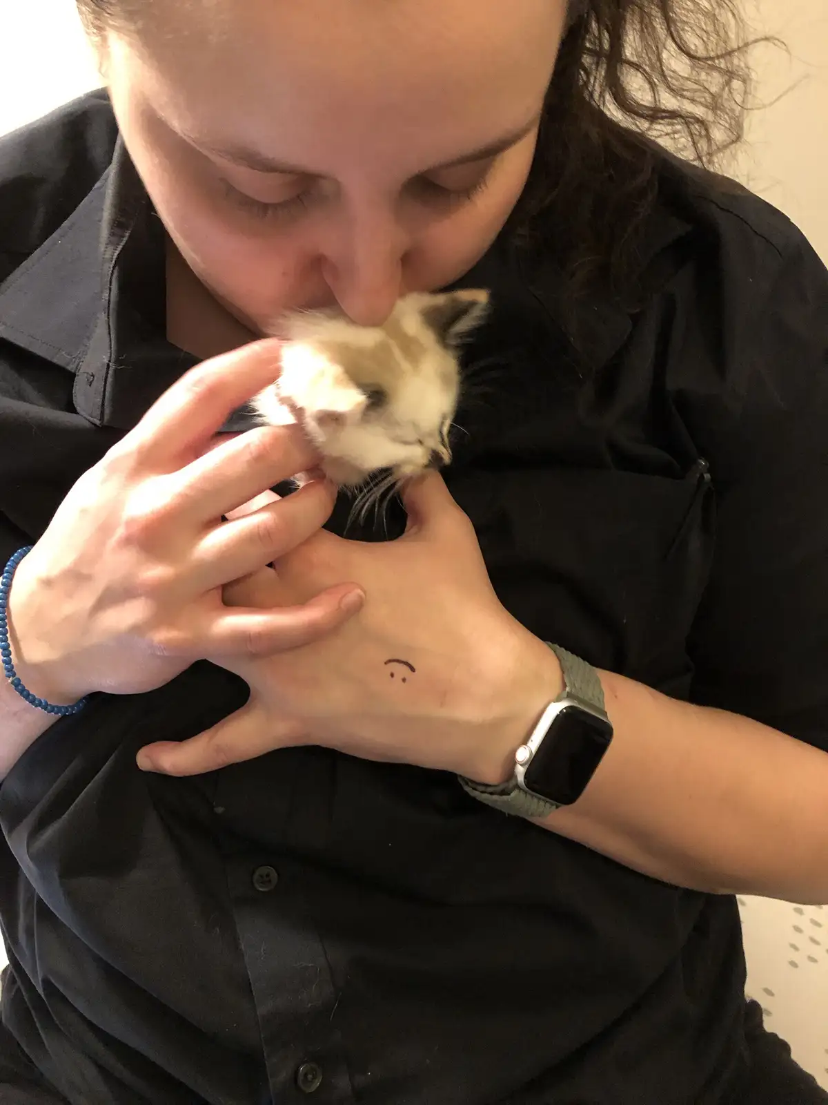 A person in a black shirt gently kisses a small, fluffy kitten held in their hands. The person's left hand, which is…