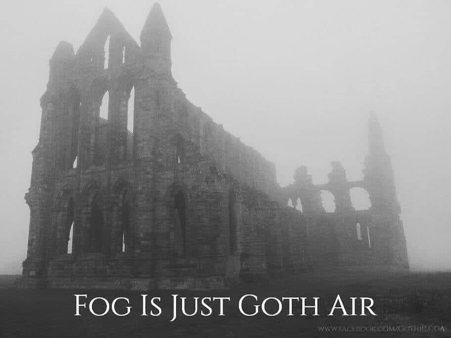 A Mysterious Fog...