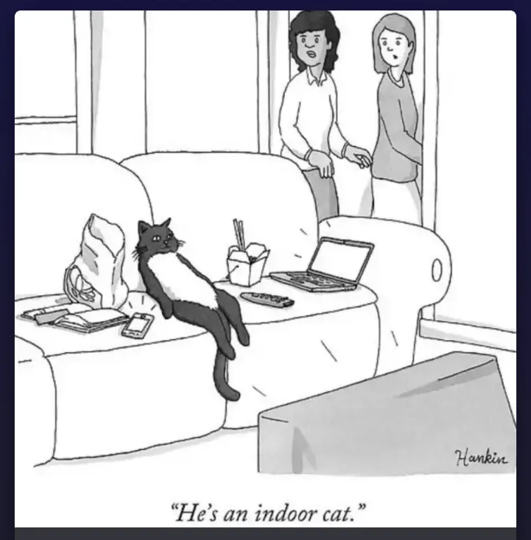 A black-and-white cartoon depicts a black cat lounging lazily on a cluttered couch with a laptop, takeout box, and phone…