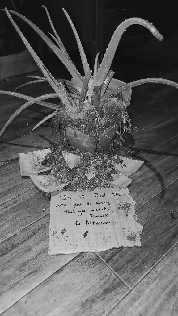 A black-and-white photo shows a broken clay pot with an aloe vera plant spilling out onto a wooden floor, surrounded by…