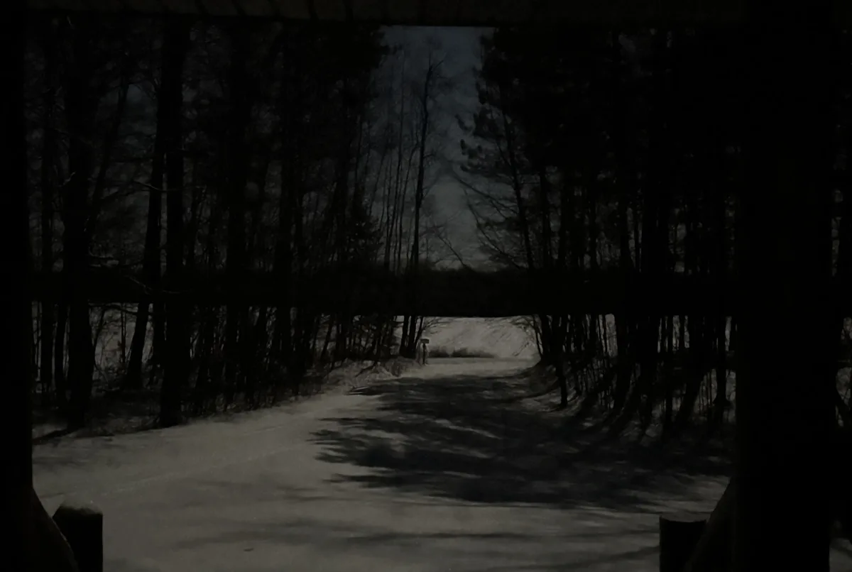 A dark, grainy photo shows a snowy path through a forest, framed by tree trunks in the foreground. The scene is dimly lit…