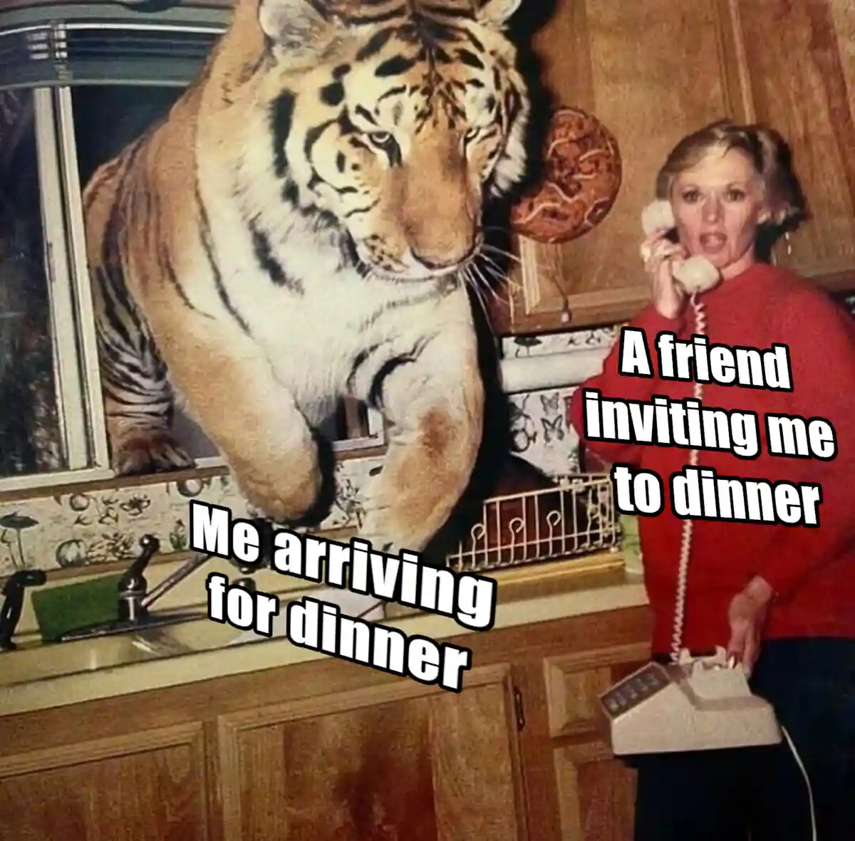A vintage photo shows a woman in a red sweater holding a rotary phone in a kitchen, with a large tiger looming over the sink…