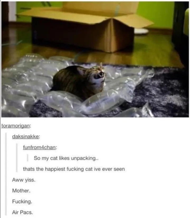 A tabby cat is sitting in a pile of clear bubble wrap on a dark rug, looking up with its mouth open as if meowing or…