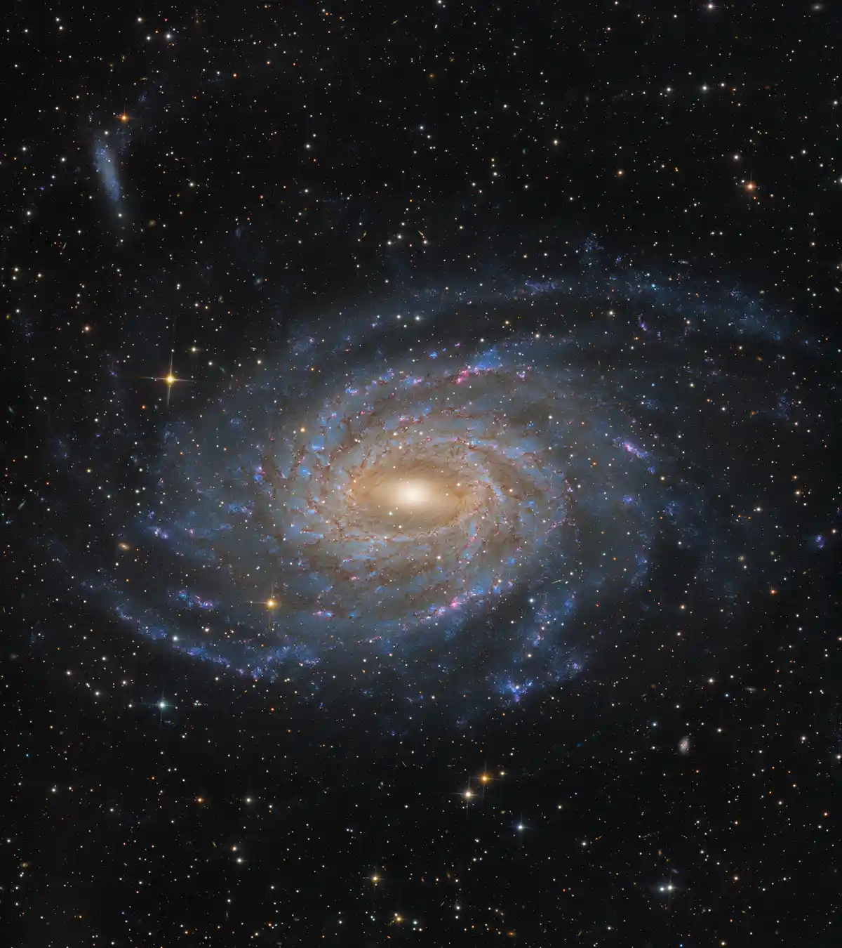 Exploring the majestic Spiral Galaxy NGC 6744