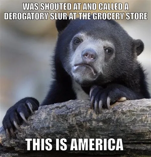 Welcome to America: A Unique Perspective