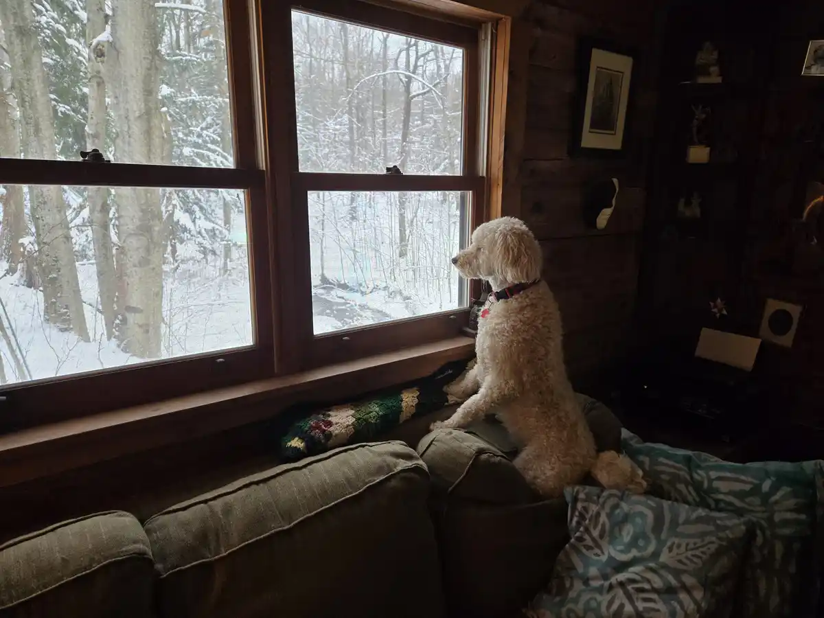 Always on High Alert...