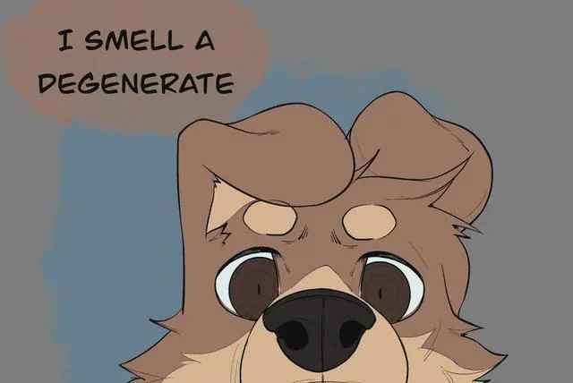 A cartoon illustration of a brown, fluffy animal with large, wide eyes and a black nose, looking directly forward. A thought…