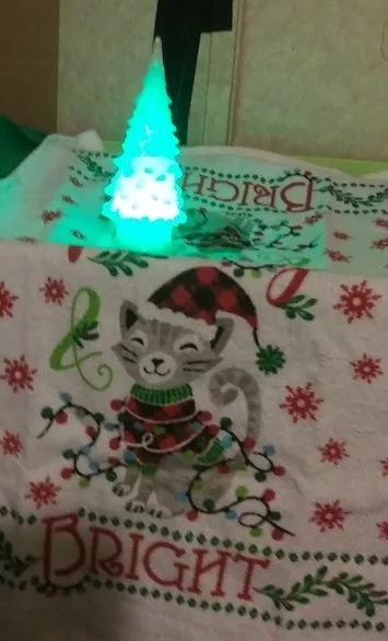 Holidays Can Bring Joy and Sadness