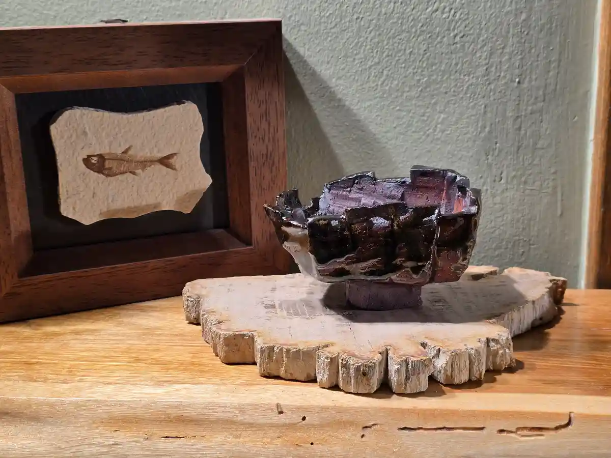 A ceramic bowl with a rough, dark, glossy finish sits on a wooden tree stump slice. Behind it, a framed display shows a…