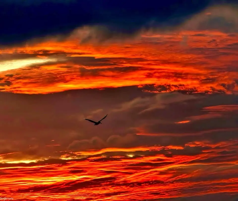 Breathtaking Sunset Vibes