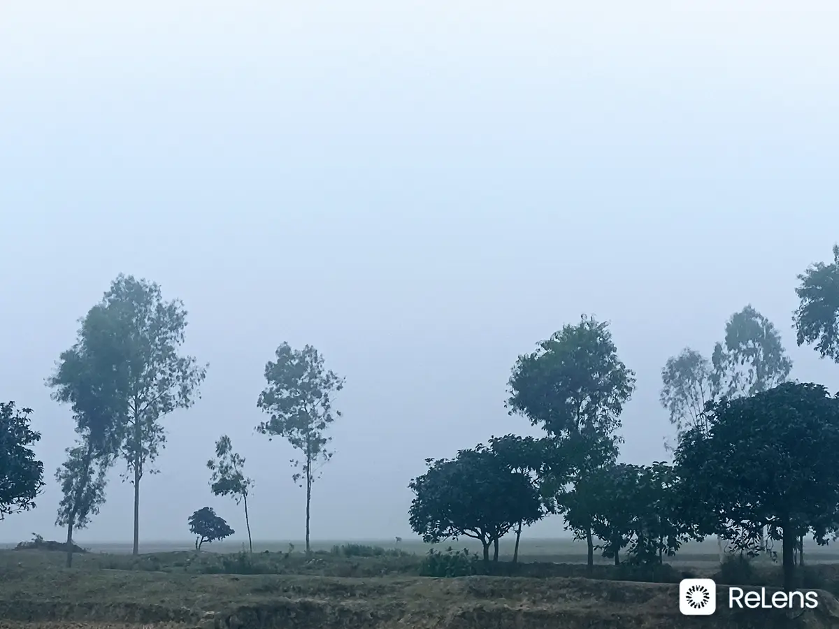 A foggy outdoor scene with scattered trees in a field under a pale sky, overlaid with the text 'i'm not lazy, i'm just…