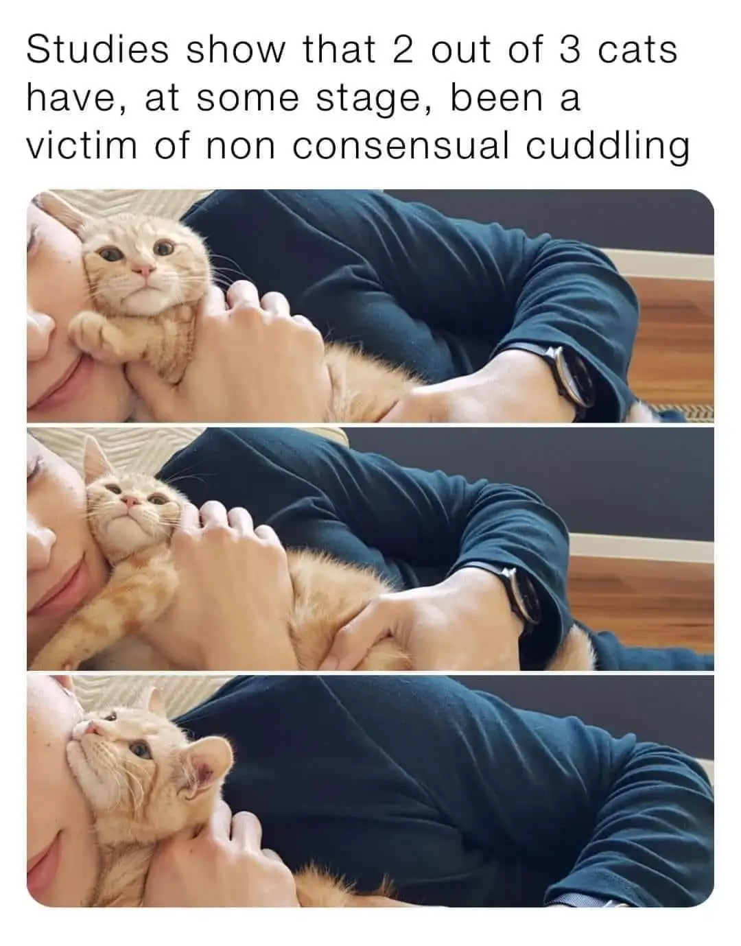 Three stacked photos show a person holding an orange tabby cat in different poses. The cat's facial expressions shift from…