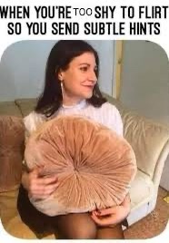 A woman with dark hair sits on a couch holding a large, round, brown, ruffled pillow. She looks off to the side with a shy…