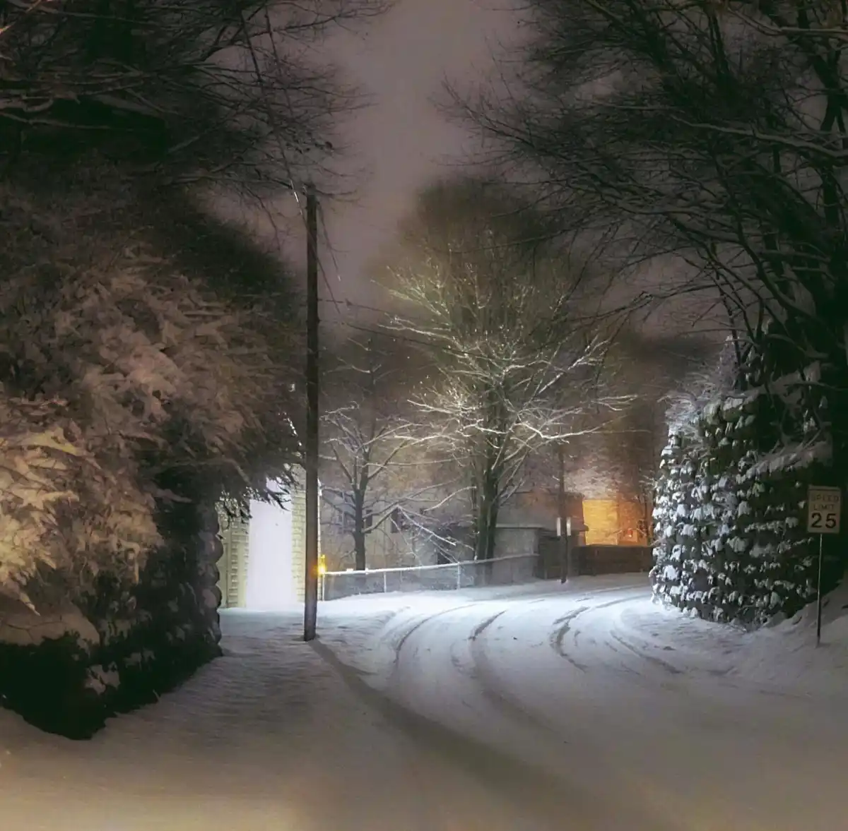 A snowy, nighttime street scene with snow-covered trees and bushes, a visible speed limit sign reading 'SPEED LIMIT 25', and…
