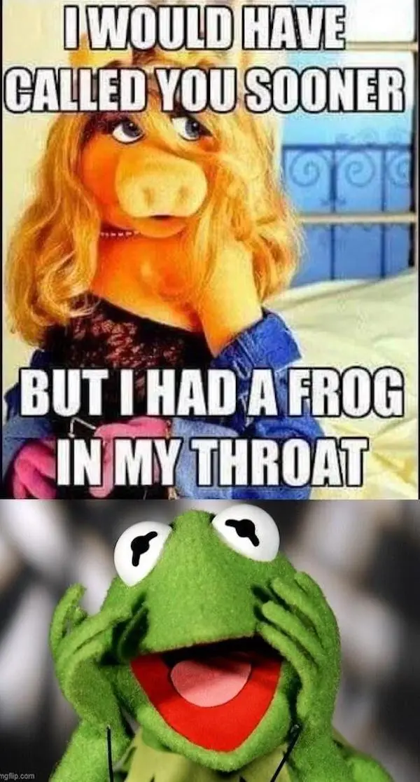The image is split into two panels. The top panel shows Miss Piggy looking thoughtful with text overlaid that reads 'I WOULD…