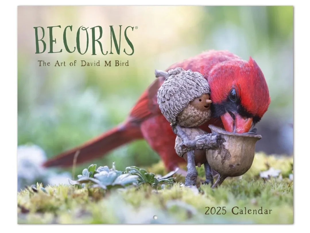 A 2025 calendar cover by David M Bird, featuring a realistic red cardinal bird gently nuzzling a tiny, whimsical acorn…
