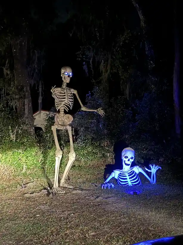 Two Halloween skeleton decorations are visible at night in a wooded area. One stands upright with glowing blue eyes, while…