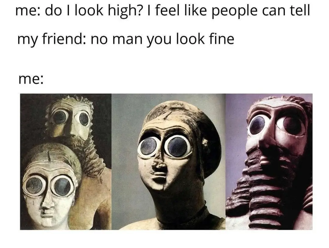 A Tiny Collection of Memes We Legally Borrowed