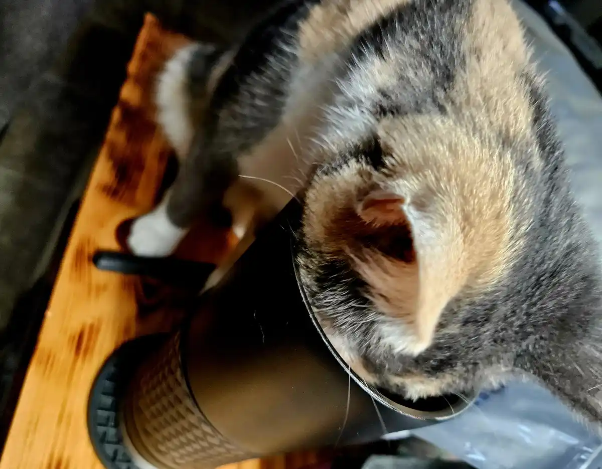 A close-up, high-angle photo shows a tabby cat with grey, black, and cream fur curled up and sleeping inside a black…